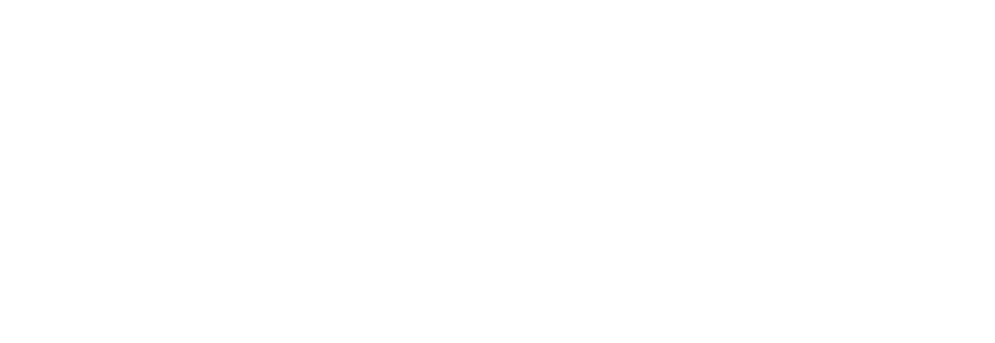 ACCLAIM LOGO
